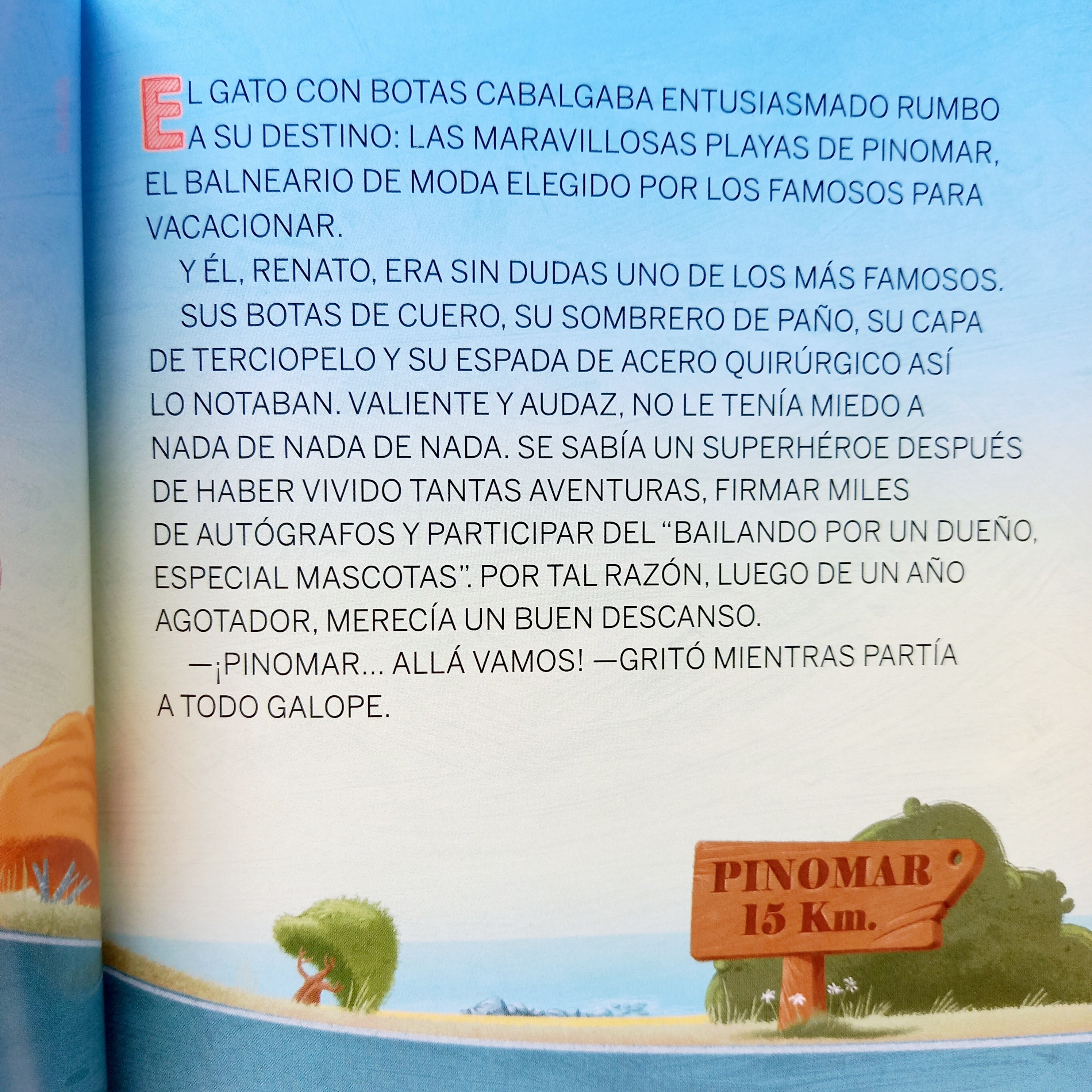 El gato en ojotas El gato en ojotas